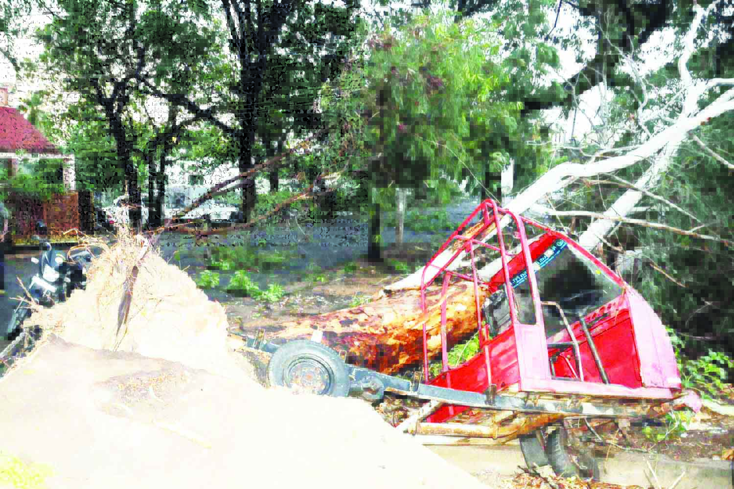 ​ ಶಿವಮೊಗ್ಗ: ಗಾಳಿ-ಮಳೆಗೆ ಹಲವು ಮರಗಳು ಧರೆಗೆಕತ್ತಲಲ್ಲಿ ಮುಳುಗಿದ ಬಡಾವಣೆಗಳು